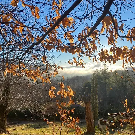 La Colombaia Amiata アルチドッソ