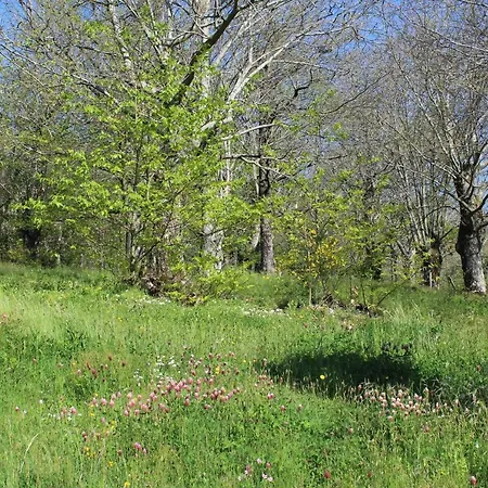 La Colombaia Amiata ベッド・アンド・ブレックファスト 3*