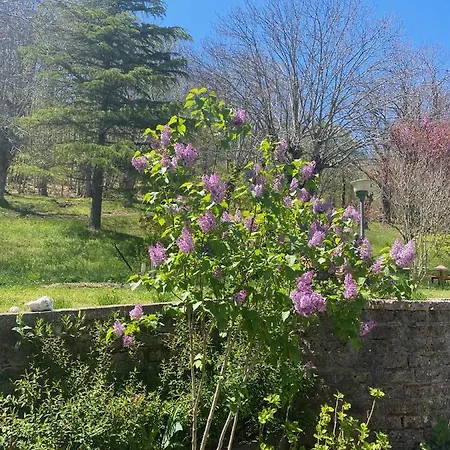 ベッド・アンド・ブレックファスト La Colombaia Amiata