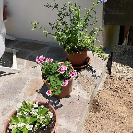 La Colombaia Amiata